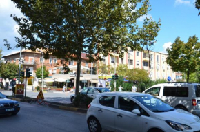 Dion Apt